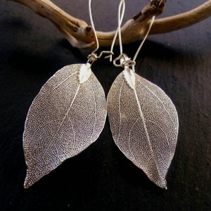 Real Leaf Earrings, Silver Dipped Leaf Earrings, Silver Leaf Earrings, Real Leaf Jewelry