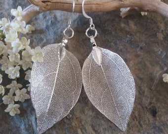 Real leaf earrings, sterling silver, silver dipped leaves natural jewelry, woodland jewelry, wedding jewelry, bridal earrings gift for her