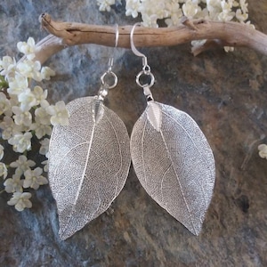 Real leaf earrings, sterling silver, silver dipped leaves natural jewelry, woodland jewelry, wedding jewelry, bridal earrings gift for her
