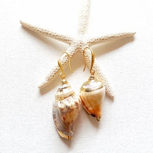 May include: Gold shell earrings with a white starfish on a white background.