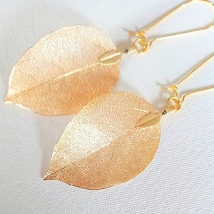 Real leaf earrings Gold dipped real leaf earrings Gold leaf Real leaves earrings Gold Real leaf earrings woodland jewelry natural jewelry image 4