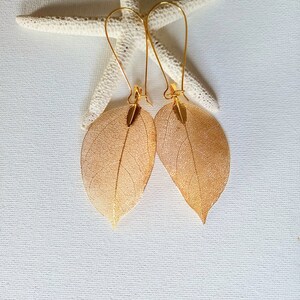 Real leaf earrings Gold dipped real leaf earrings Gold leaf Real leaves earrings Gold Real leaf earrings woodland jewelry natural jewelry image 2