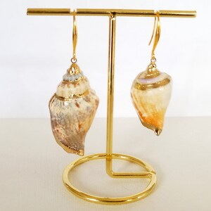 May include: A pair of gold shell earrings with a natural seashell design. The earrings are hanging from a gold stand.