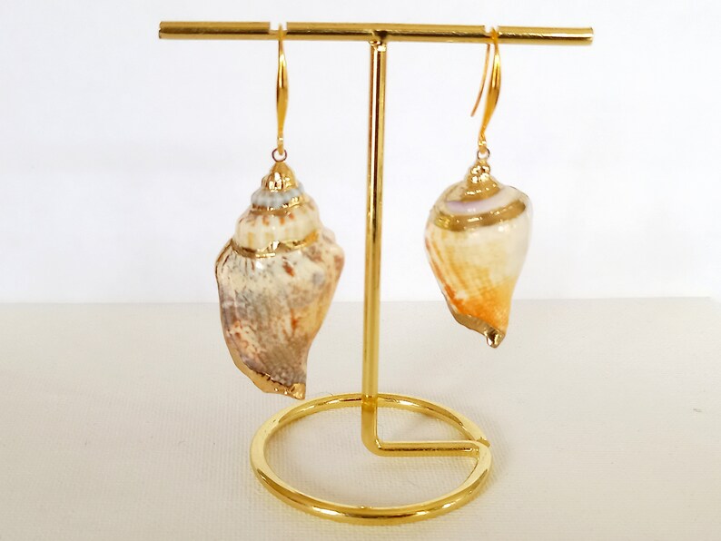 May include: A pair of gold shell earrings with a natural seashell design. The earrings are hanging from a gold stand.