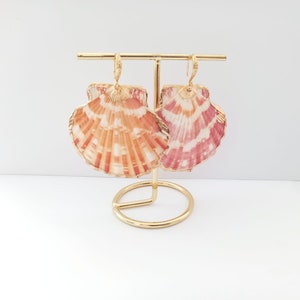 Real Shell Earing Real Shell Earrings Gold Shell Earrings Gold Plated Shell Earrings ...