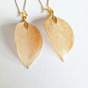 Real leaf earrings Gold dipped real leaf earrings Gold leaf Real leaves earrings Gold Real leaf earrings woodland jewelry natural jewelry image 5