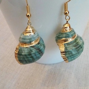 May include: Seashell earrings with gold-coloured hooks and caps. The shells are painted in teal and green hues, with gold detailing around the edges. These earrings offer a unique, natural aesthetic.