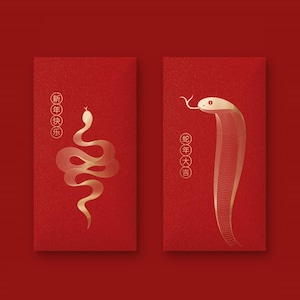 Juego de 10 sobres rojos de 2 diseños para el Año Nuevo Chino (año de la serpiente) - Año Nuevo chino 2025 - Sobre rojo para el Año Nuevo lunar - Serpiente clásica