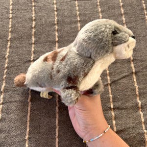 WWF seal