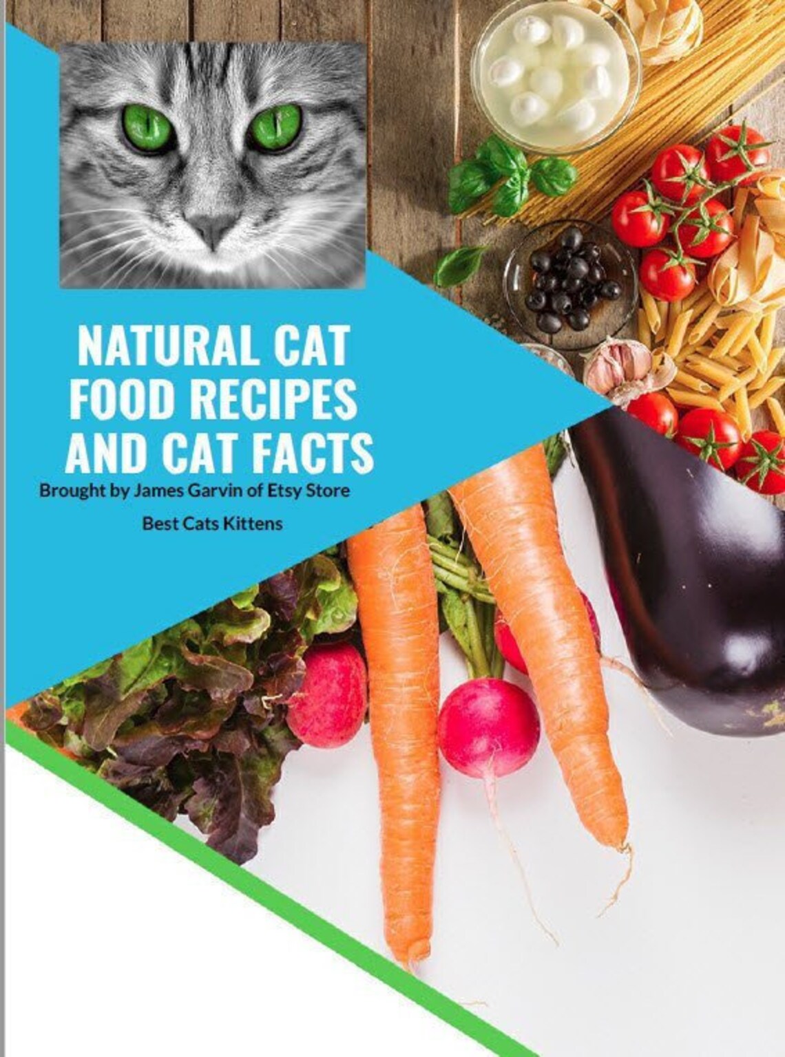 Natural Cat Food Recipes and Cat Facts Etsy