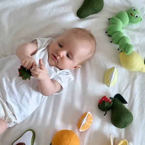 Felt Play Food Montessori felt toy Fruits set play food, Pretend play food, play Kitchen, Felt educational toy, Waldorf toys, Toddler toys