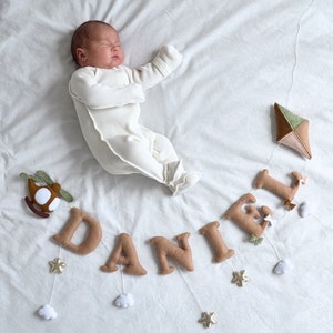 Felt Name Banner Name bunting felt, Baby Name Sign, Personalized Kids Bedroom Wall Decor, Name Sign, Nursery Name Bunting Baby Room Bunting