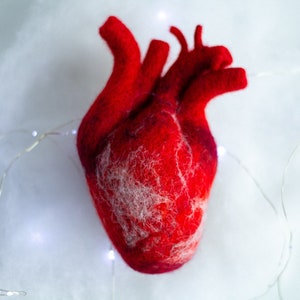 Anatomical heart Felted human heart Valentines day gift Gift for her Unique gift Doctor Gift Ideas Realistic wool heart Valentines day decor