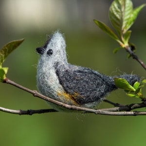 Needle felted bird, Wool bird, Needle felted birds, Wool bird decoration, bird lover gift, bird gifts Bird home decor, bird sculpture