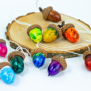 Hand painted multi-colored acorns Set of 10/20/30 Natural Acorns Fall home decor Autumn decoration Acorn ornaments Fall wedding decor
