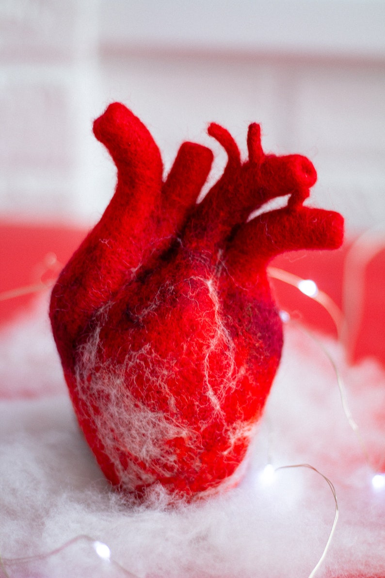 Anatomical heart Felted human heart Valentines day gift Gift for her Unique gift Doctor Gift Ideas Realistic wool heart Valentines day decor image 6