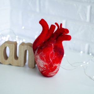 Anatomical heart Felted human heart Valentines day gift Gift for her Unique gift Doctor Gift Ideas Realistic wool heart Valentines day decor image 10