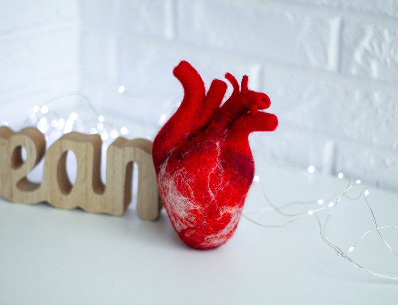 Anatomical heart Felted human heart Valentines day gift Gift for her Unique gift Doctor Gift Ideas Realistic wool heart Valentines day decor image 10