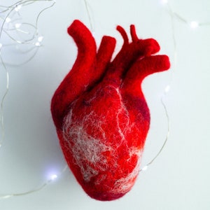 Felted human heart