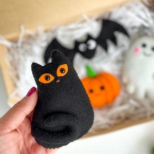 May include: A black felt cat with orange eyes and a curled tail. The cat is being held in a hand. The cat is part of a Halloween themed set of felt toys.
