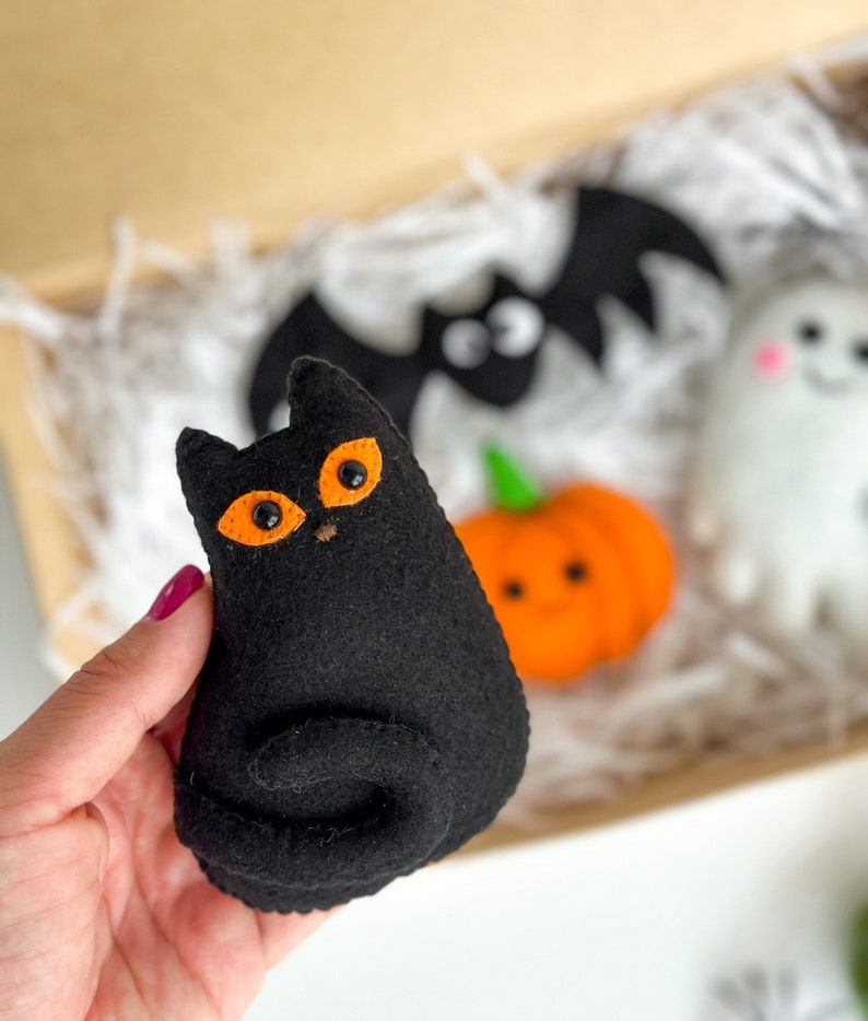 May include: A black felt cat with orange eyes and a curled tail. The cat is being held in a hand. The cat is part of a Halloween themed set of felt toys.