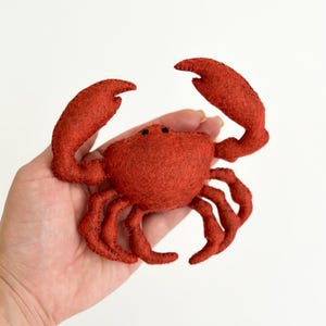 Peut inclure: Un crabe en feutre rouge fait à la main, avec des pinces, des pattes et un corps détaillés. Le crabe est d'une teinte rouge vif et a de petits yeux noirs. C'est un objet décoratif.