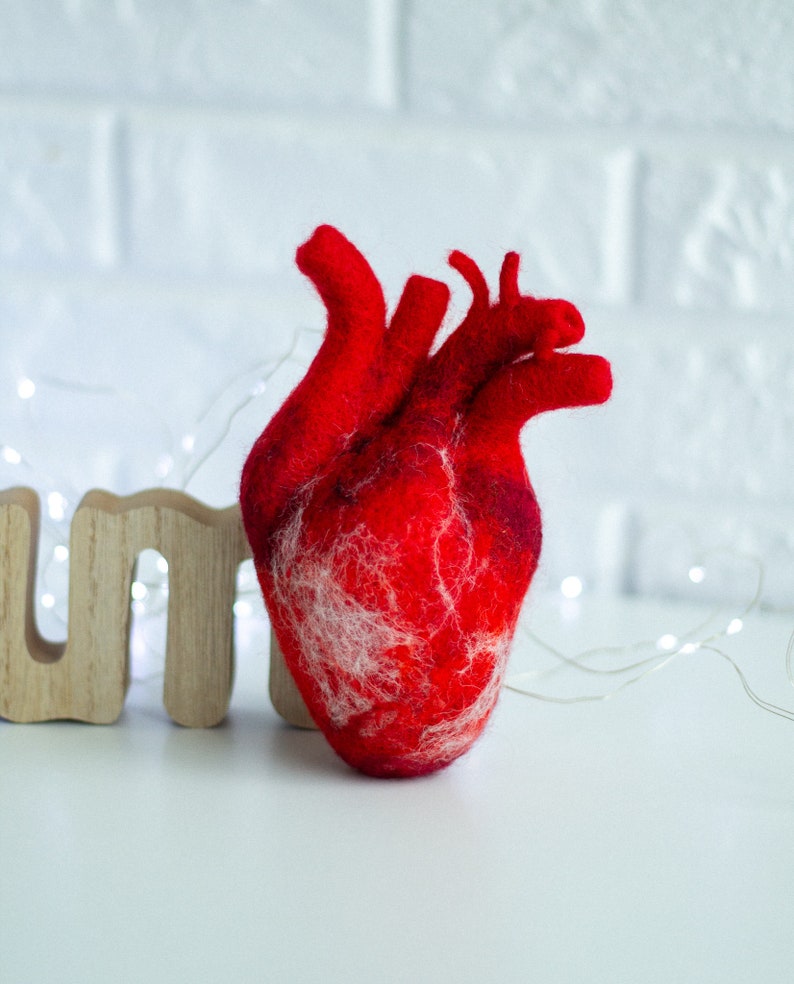 Anatomical heart Felted human heart Valentines day gift Gift for her Unique gift Doctor Gift Ideas Realistic wool heart Valentines day decor image 9