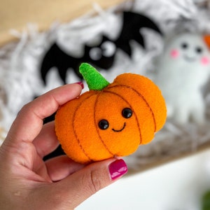 May include: A felt orange pumpkin with a green stem and a smiling face. The pumpkin is being held by a hand with pink nail polish.