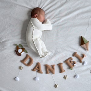 Custom Baby Name Sign, Name bunting felt, Personalized Kids Bedroom Wall Decor, Name Sign, Nursery Name Bunting Customised Baby Room Bunting