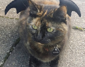 Bat Wings Cat Costume- in Red, Green, Purple and Black!