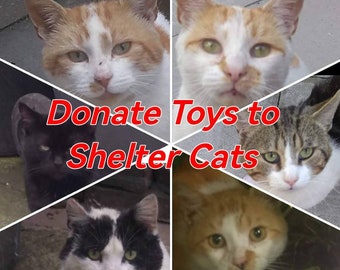 Donate Toys to Shelter Cats + helping strays/ferals