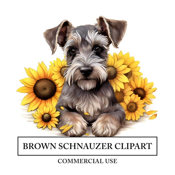 Brown Schnauzer Clipart - 6 High Quality JPGs - Pet Dog Sunflowers Watercolor Art Craft - Digital Design Download - Spring Animal Portrait