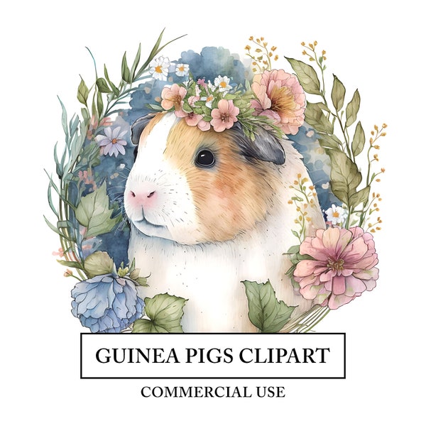 Clipart de cochon d'Inde - 14 fichiers JPG de haute qualité - artisanat d'art aquarelle pour animaux de compagnie de famille - téléchargement de conception numérique - coiffe de fleurs - Portrait d'animal