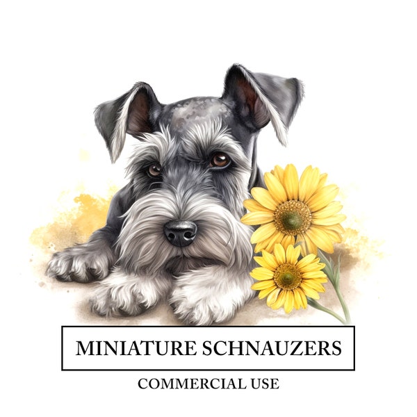 Miniature Schnauzer Clipart - 8 High Quality JPGs - Dog In Sunflower Watercolor Art Craft - Digital Design Download - Spring Pet Portrait