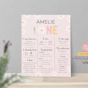 May include: A pink and white first birthday milestone poster with the name "Amelie" at the top. The poster includes details about the child's birth, favorites, and nicknames. The poster is decorated with daisy flowers.