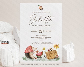 Editable Picnic Birthday Invitation: Park Party Invite (Digital Download)