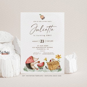 EDITABLE Picnic Birthday invitation, picnic in the park printable invite, picnic birthday, corjl invitation download #524 INSTANT DOWNLOAD