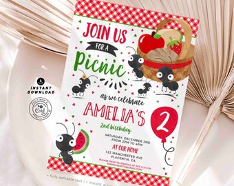 Picnic Party Invitation Printable INSTANT DOWNLOAD Summer Picnic Theme Birthday invite Editable Picnic in the park Birthday Party invite 368