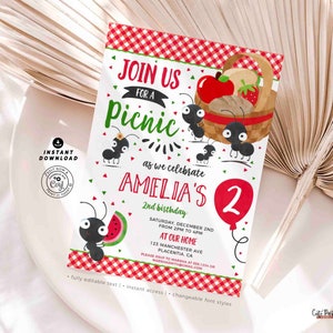 Picnic Party Invitation Printable INSTANT DOWNLOAD Summer Picnic Theme Birthday invite Editable Picnic in the park Birthday Party invite 368