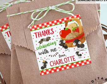 Picnic Favor Tags: Editable Birthday Party Printable (Instant Download)