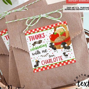 INSTANT DOWNLOAD - EDITABLE Picnic Birthday Favor tags summer picnic in the park printable invite picnic invitation Picnic decorations