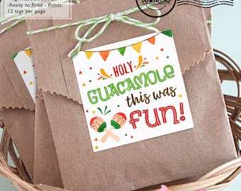 INSTANT DOWNLOAD - Fiesta Birthday Fiesta Favor tags Fiesta Favors decorations Fiesta thank you tag Fiesta party decor