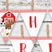 INSTANT DOWNLOAD - EDITABLE Barnyard Birthday Wall Banner Farm Animals pennant banner - Barnyard decoration red barnyard birthday Farm