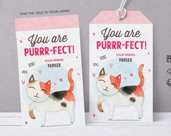 May include: Two pink gift tags with a watercolor illustration of a cat. The text on the tags reads "You are purrr-fect!" with the words "Your friend, Parker" below the cat. The tags are trimmed with a white string.