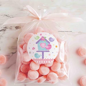 May include: A clear plastic bag filled with pink candy, tied with a pink ribbon. The bag has a sticker with a birdhouse, birds, and the text "CutePartyDash.com".