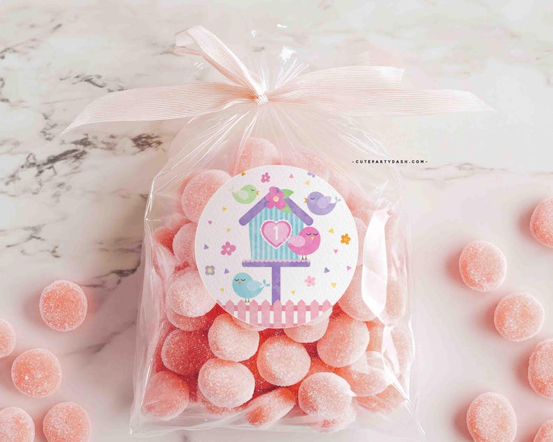May include: A clear plastic bag filled with pink candy, tied with a pink ribbon. The bag has a sticker with a birdhouse, birds, and the text "CutePartyDash.com".
