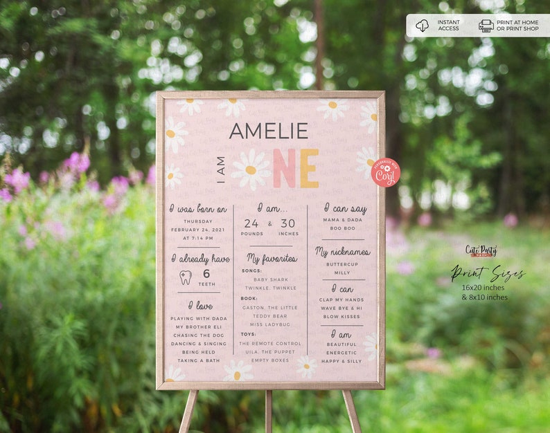 May include: A light pink poster with the name "Amelie" and the number "one" in a daisy-themed design. The poster includes details about the child's birth, measurements, favorites, and nicknames. The poster is displayed on a wooden easel.