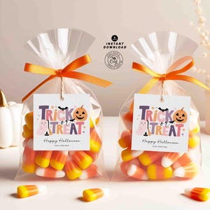Peut inclure: Deux sacs transparents remplis de bonbons en forme d'&eacute;pi de ma&iuml;s, attach&eacute;s avec des rubans orange et &eacute;tiquet&eacute;s avec des &eacute;tiquettes "Trick or Treat". Une citrouille blanche avec une tige dor&eacute;e est &agrave; gauche. Les &eacute;tiquettes ont une chauve-souris et une citrouille.