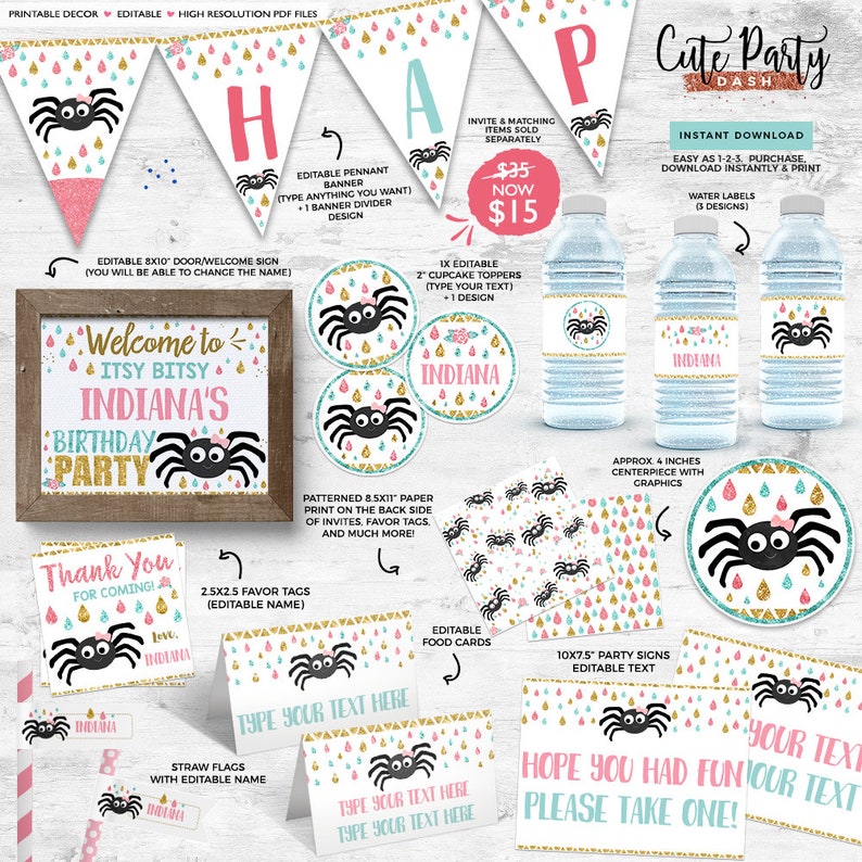 Editable Itsy Bitsy spider First birthday Girl Party decor
