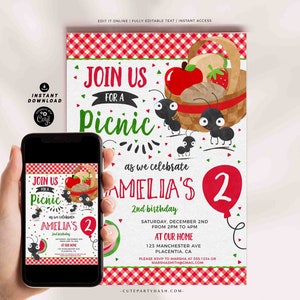 Picnic Party Invitation Printable INSTANT DOWNLOAD Summer Picnic Theme Birthday invite Editable Picnic in the park Birthday Party invite 368